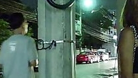 Glowing Palm Sugar Lend substance Thailand Pickup