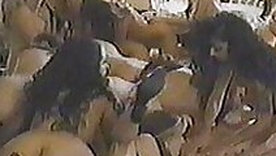 Lesbian Orgy Attaching 2