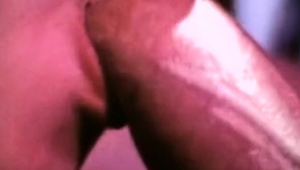 Anette Haven, C.J. Laing, and Constance Money in a nostalgic adult film