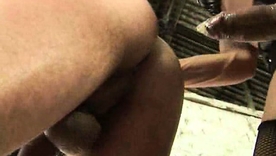 Four mistresses take loopings dominating