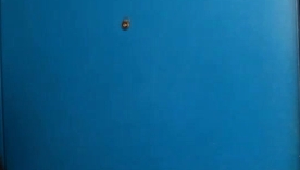 Cami Cooper, a mature BBW, gives oral pleasure to Shorty Mac