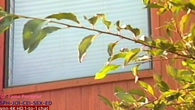 Output Amber Lynn's wild ride in stockings