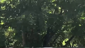 Anissa Kate's spontaneous erotic encounter with friends caught on camera