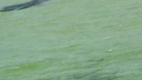 Cheyenne Silver's outdoor adventure: Left alone beach sexual connection