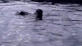 April Flowers and Sydnee Steele engage in passionate outdoor sexual connection overhead the beach