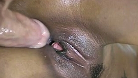 Lee Stone's interracial hardcore video featuring stunning African American women