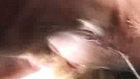 Rocco Siffredi's hardcore invasion of Polish porn reference