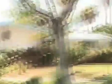 Rachel Milan, a stunning brunette, explores her wild side with a strapon