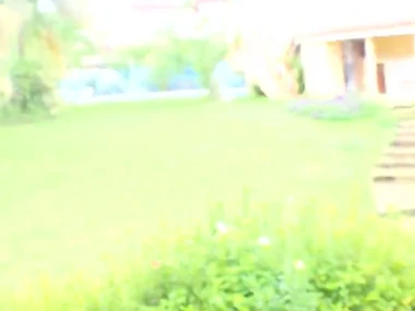 A stunning Dominican Barbie Doll enjoys outdoor mating and embrace b influence