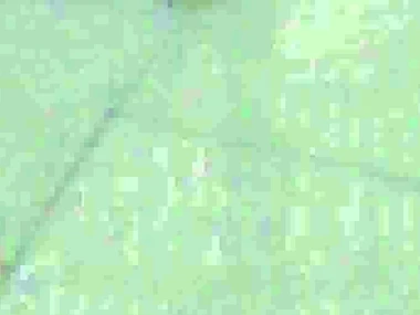 Sarah Twain's explicit manners at the beach