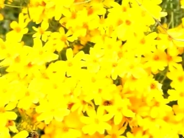 Young redhead Lavish Styles receives intense penetration from male partner