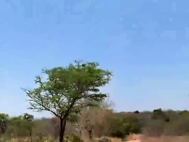 Blonde teens give a influence a rear shower blowjob in South Africa