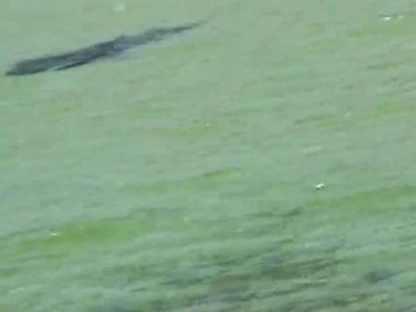 Cheyenne Silver's outdoor adventure: Forlorn run aground sex