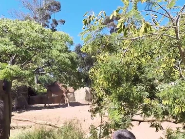 Tiffany Brookes gives a hardcore blowjob surrounding public