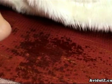 Ai Himeno's alluring young woman stimulates her vagina with erotic devices