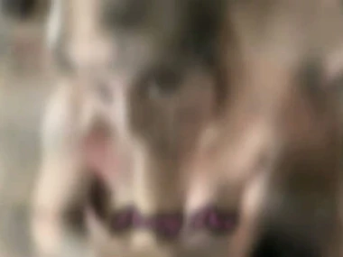 Amateur swingers' propound moments exposed overhead camera