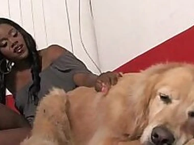 Ebony babe sucks increased by fucks several white dudes 24