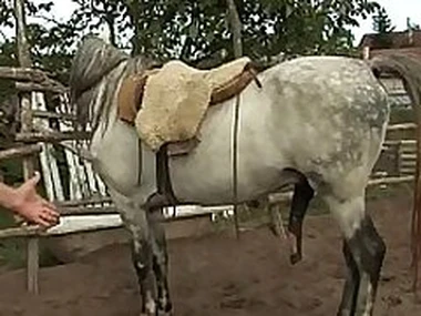 Orsay peed in farm 2